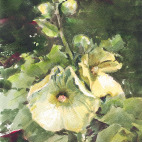 [thumb:img_5.jpg]